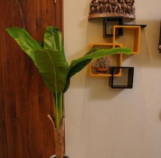 Mangalore House | SM Stay Inn