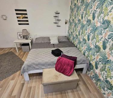 Kaposvar Apartment | Smaragd Apartman