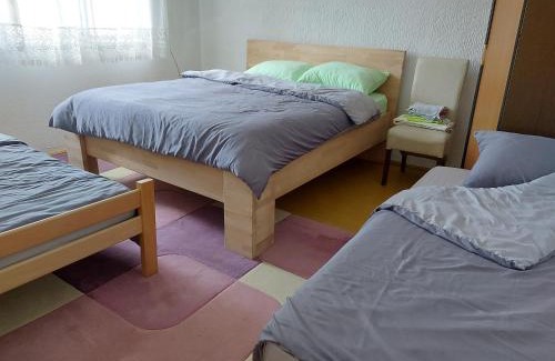 Central Serbia Apartment | Smeštaj Gokčanica