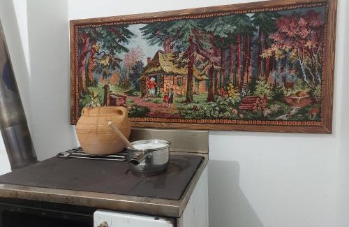 Central Serbia Apartment | Smeštaj Gokčanica