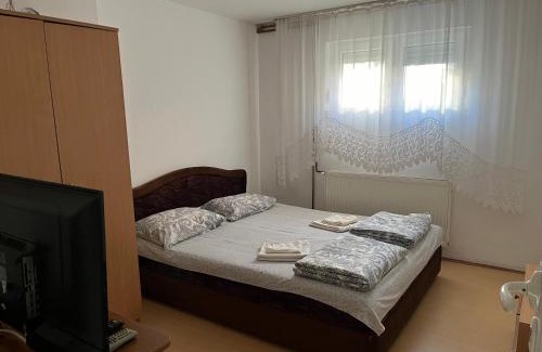 Soko Banja Apartment | Smestaj Miki
