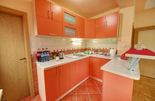 Zlatibor Apartment | Smestaj Rakovic