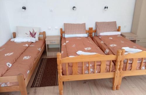 Central Serbia Apartment | Smestaj Stevanovic