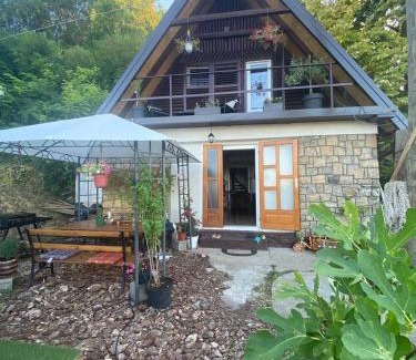Stari Slankamen Apartment | Smokvica