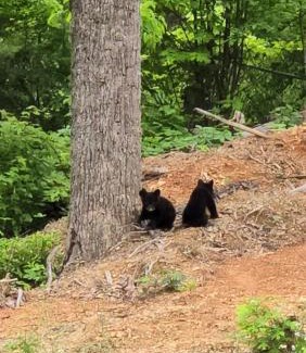 Gatlinburg - Pigeon Forge House | Smoky's View
