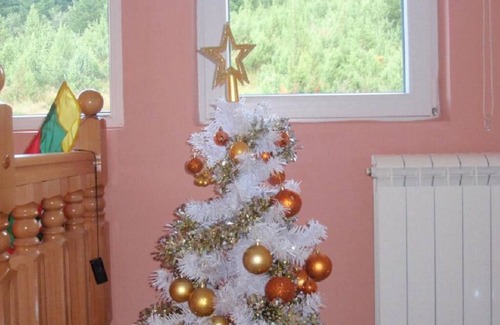 Raska Apartment | Snow Queen Kopaonik, Separate bedroom, Free Parking, Free Wifi