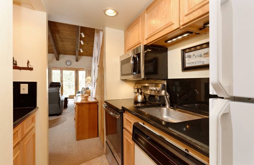 Snowmass Village Apartment | Snowmass,Timberline, #301,Large Ski in Ski out Studio Loft