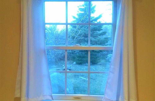 South Kingstown Cottage | Snug, bright, quiet modern cottage-short walk to beaches!