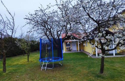 Palic House | Soba Milica