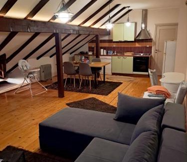 Medijana Apartment | Sofi