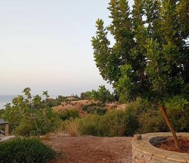 Pylos-Nestoras Apartment | Sofia's summer house