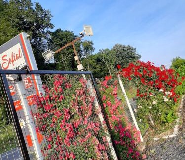 Sinmartin House | Sofial Guesthouse