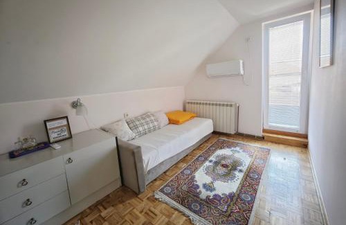 Surcin Apartment | Sofija 1