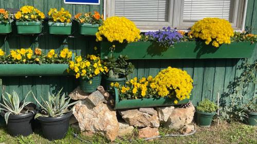 Skopje Region House | SOKO Guesthouse & Garden