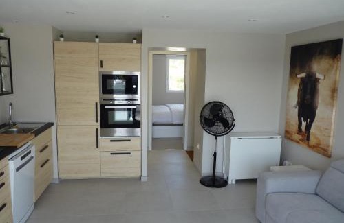 Le Grau-Du-Roi Apartment | Sol-y-Days Darse, Superbe appartement de type Marina avec belle terrasse vue port de plaisance