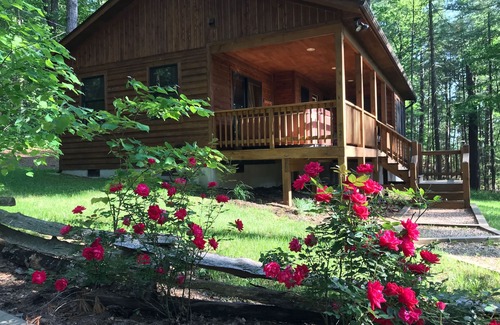 Rileyville Cabin | "Solitude" Secluded 1 BR Cabin Nestled in the Woods w/Hot Tub near Luray, VA.