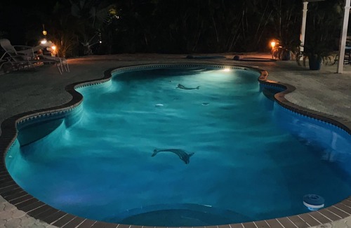 Marathon House | Sombrero Beach Paradise with private Pool and Dock w/Immediate Ocean Access