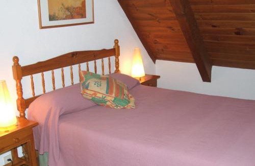 Vielha e Mijaran Apartment | Somni Aranès
