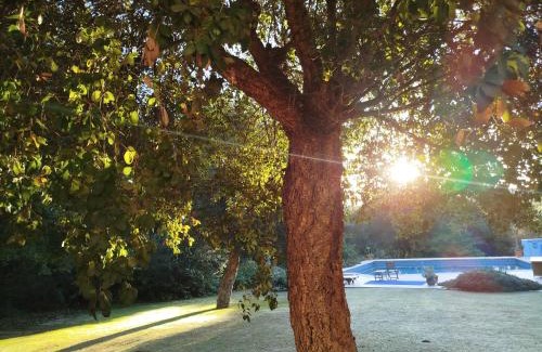 Sotogrande House | Sotogrande - Estancia en plena naturaleza - Abril