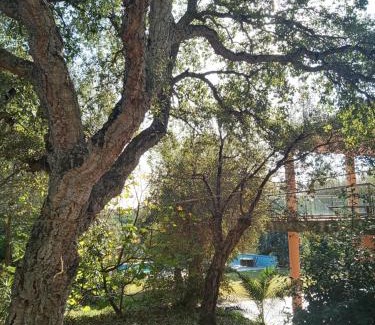Sotogrande House | Sotogrande - Estancia en plena naturaleza - Abril