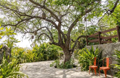 Alpuyeca Hotel | Soul Spring Sanctuary Cuernavaca