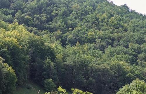 Le Mas-d'Azil Bed & Breakfast | Source Nature