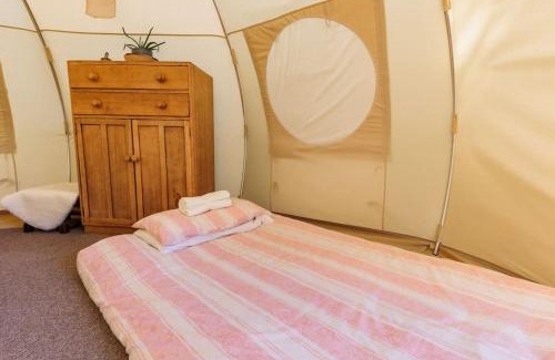 Liverton Other | South Devon Luna Bell Tent
