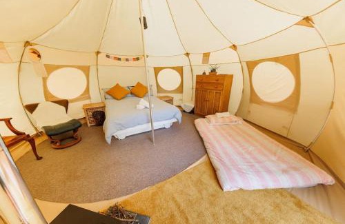 Liverton Other | South Devon Luna Bell Tent