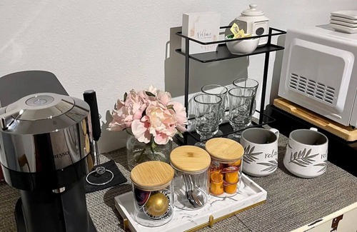 Palma Ceia West Apartment | South Tampa- Luxury Suite
