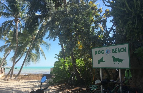 Old Town Cabin | Southernmost Casita, Old Town jewel just blocks to the beach! Dog OK!