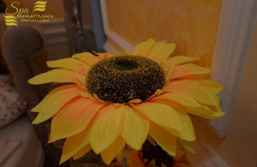 Banja Luka Apartment | Spa Apartman Banja Luka