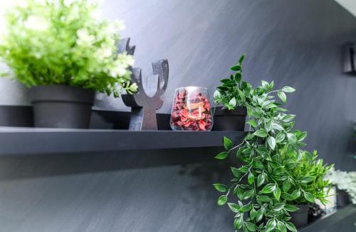 Soko Banja Apartment | SPA apartman Tomin adults only