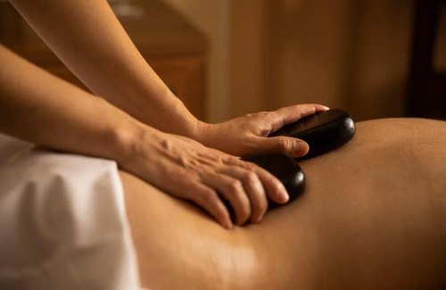 Lazne Belohrad Hotel | Spa Resort Tree of Life