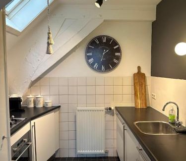 Centrum Apartment | Spaarne Apartment