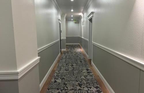 Houston Apartment | Spacious 1BR Mid-rise by NRG - Galleria -MedCenter