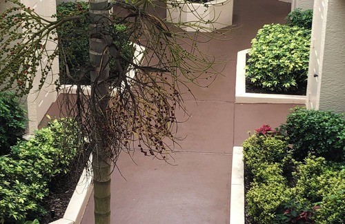 Central Naples Condo | Spacious 2 story, 2 bedroom, 2 1/2 bathroom Naples condo