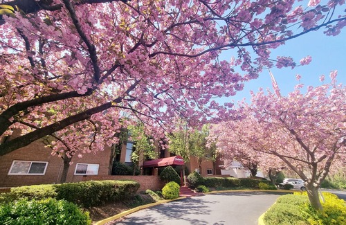 Elkins Park Apartment | Spacious 2BR/2BA First‑Floor Condo