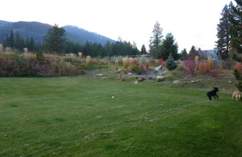 Methow Valley Cabin | Spacious Cabin W/Lrg Fenced Yard in the Heart of Methow Valley