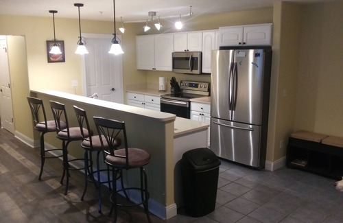 Traverse City Condo | Spacious Downtown, First Floor, Patio, sleeps up to 6, Short Walk to Everything!