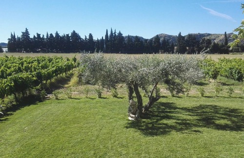 Saint-Genies-de-Comolas House | Spacious house surrounded by vineyards