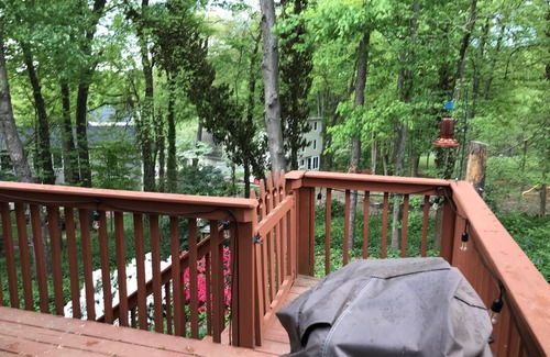 Greensboro House | Spacious home in NW Greensboro