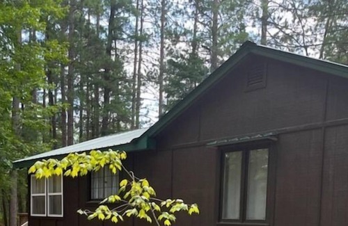 Higgins Lake Cottage | Spacious Peaceful 1 Bedroom cabin, wooded lot, Near Higgins Lake, new to VRBO.
