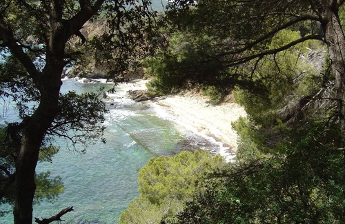 Cavaliere Apartment | Spacious studio flat for 4 people, near shops & beach in quiet residential area