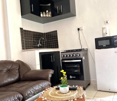 Kisumu Apartment | Spacious studio Apt Milimani