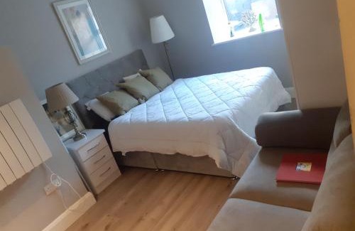 Dublin Apartment | Spacious Studio-Dublin 3