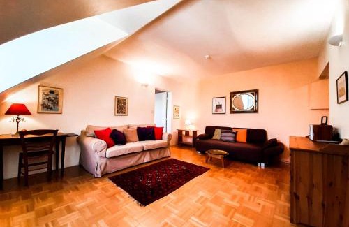 Amboise Apartment | Spacious T2 apt in city center.