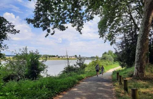 Amboise Apartment | Spacious T2 apt in city center.