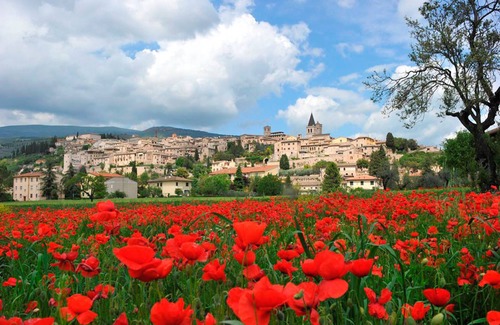 Spello Apartment | Spadolino Apt City Center, Spello, Italy