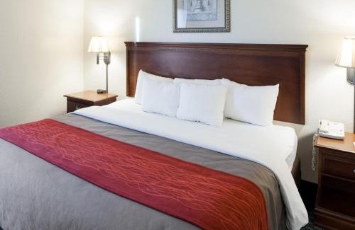 Oak Park - Northwood Hotel | Spark By Hilton San Antonio Airport