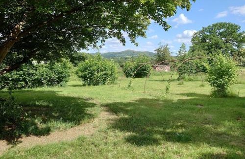 Moreton Other | Sparrow Hill Orchard